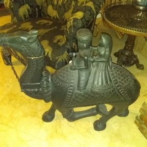 Camel carrying husband and wife